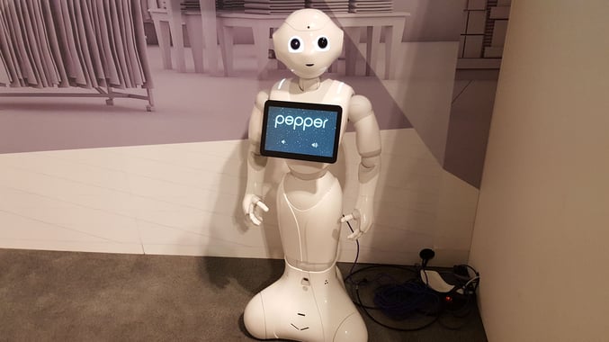 pepper_1.jpg