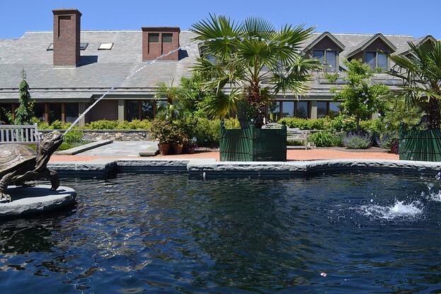 turtle-fountain-1024x682