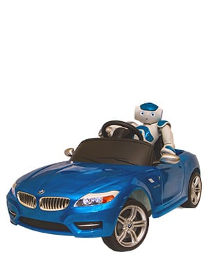 NAO-car-300x400