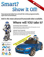 NAO car white paper