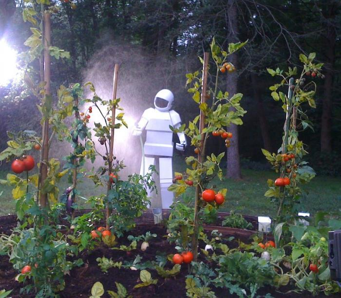 Robot_taking_care_of_garden