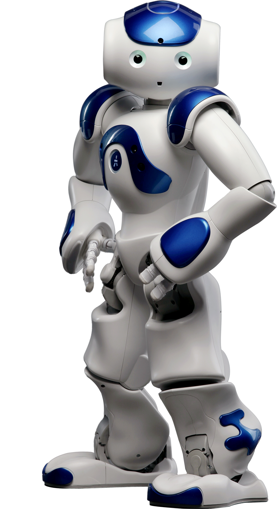 nao evolution v5