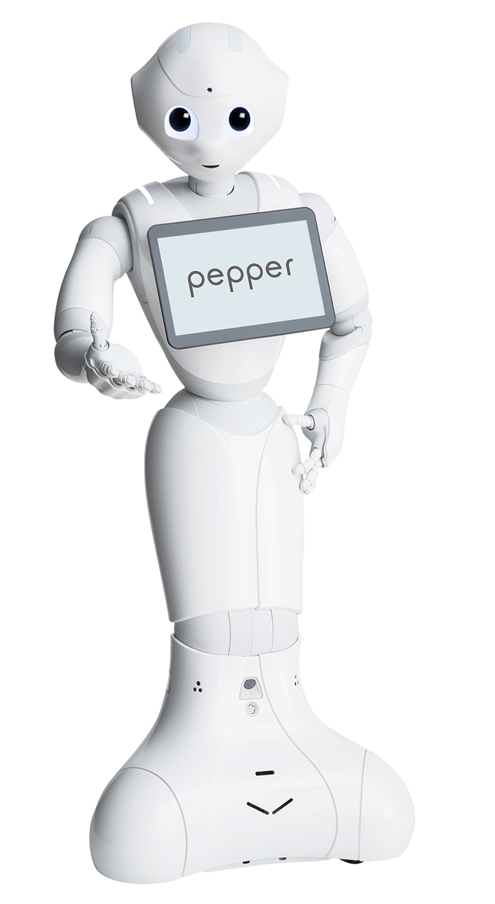 pepper the robot price