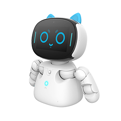 Kebbi Robot-1