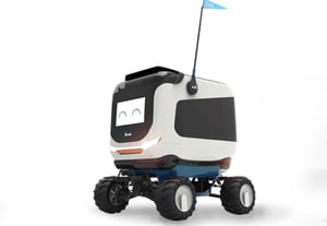 Kiwi Kiwibot