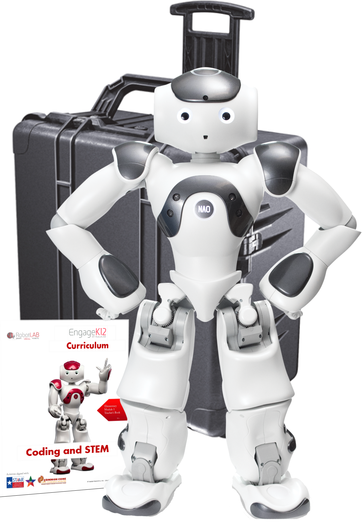 nao robot cost