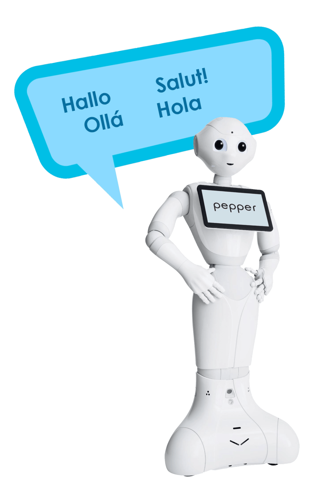 Pepper Robot Website