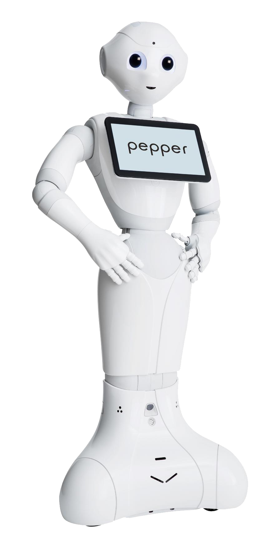Pepper Research and Coding.png
