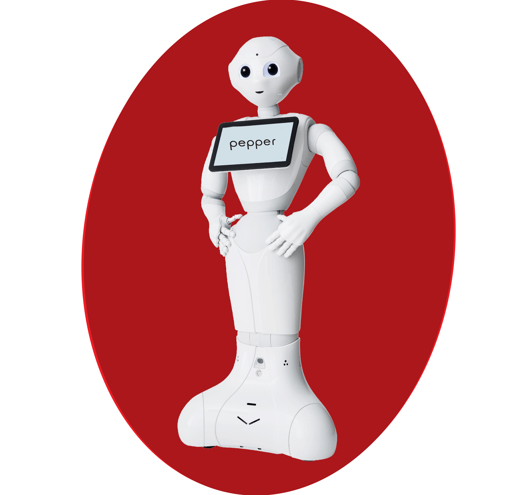 Pepper Robot Website