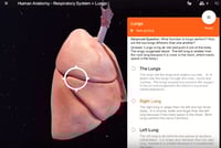 VR-Expeditions-Human-Anatomy