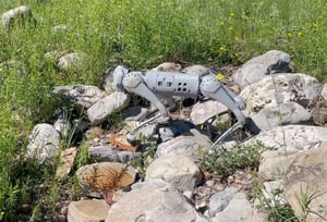 Unitree Go 2 Robot Dog