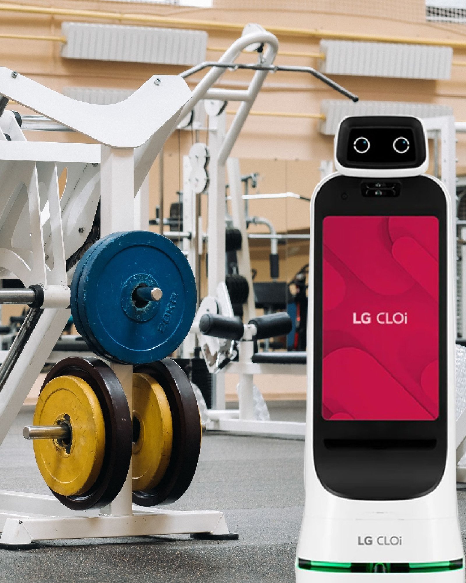 gimnasio media página-01