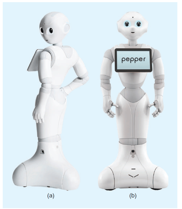 A MassProduced Sociable Humanoid Robot Pepper The First Machine of