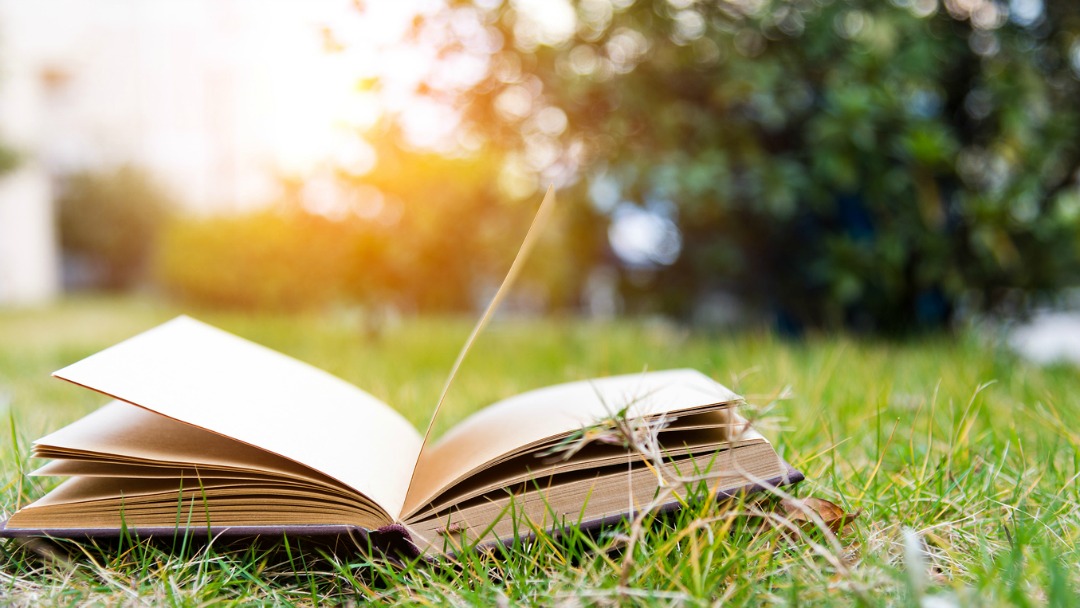 Book-Summer-STEM