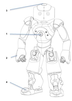 NAO 1-2.jpg