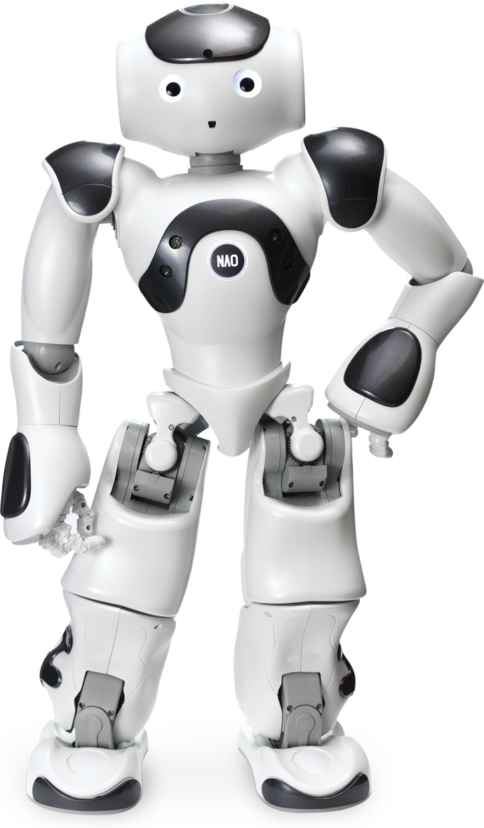 NAO Power V6 Standard Edition