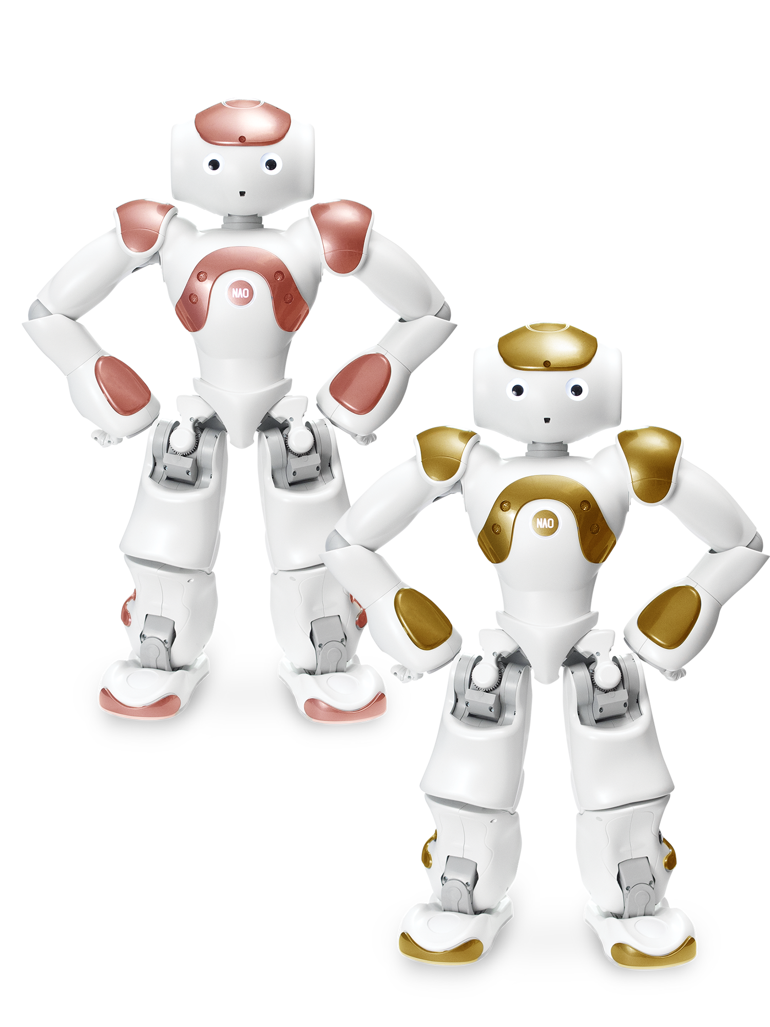 NAO V6+ Options-updated