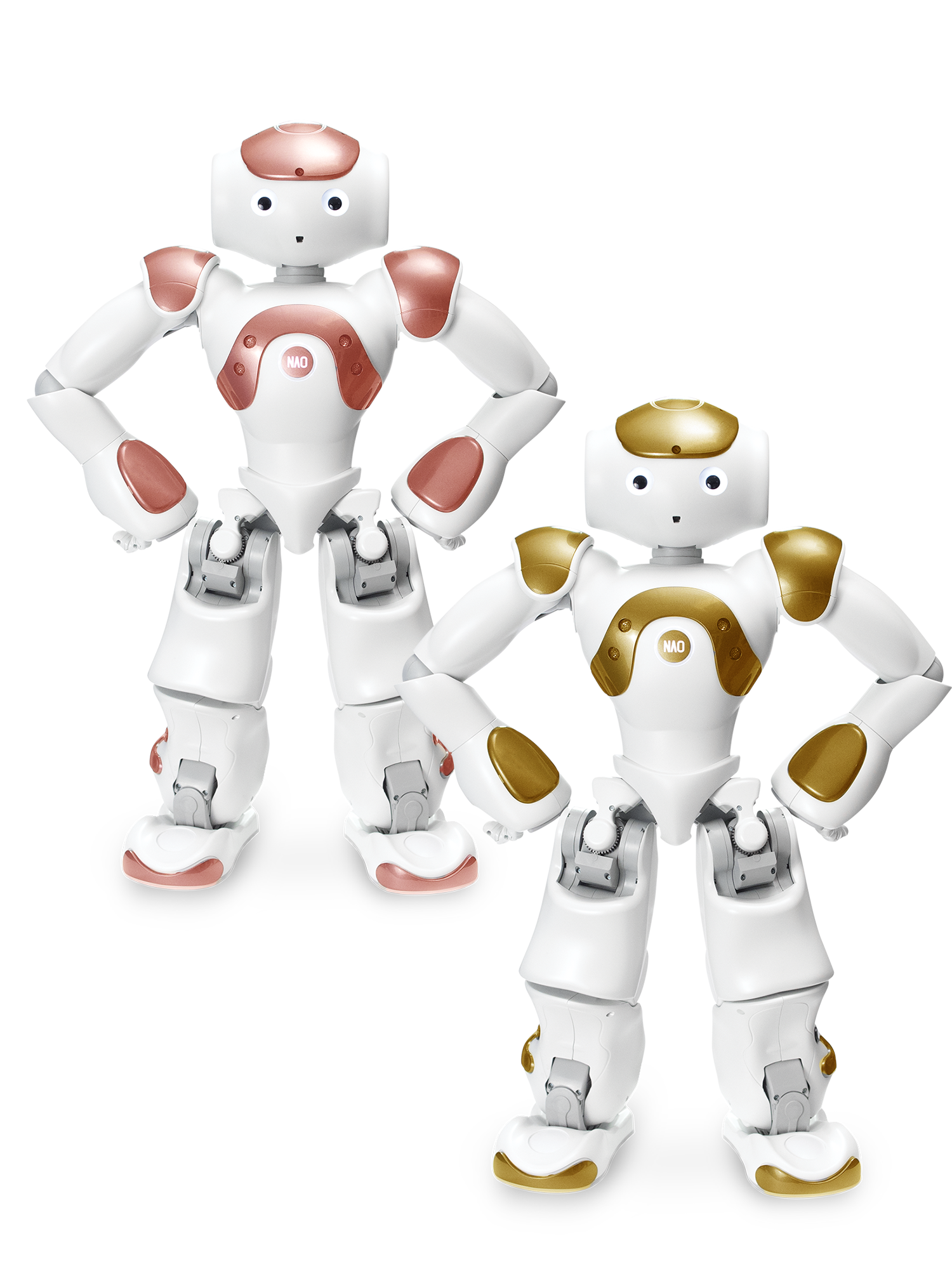 NAO Robot AI