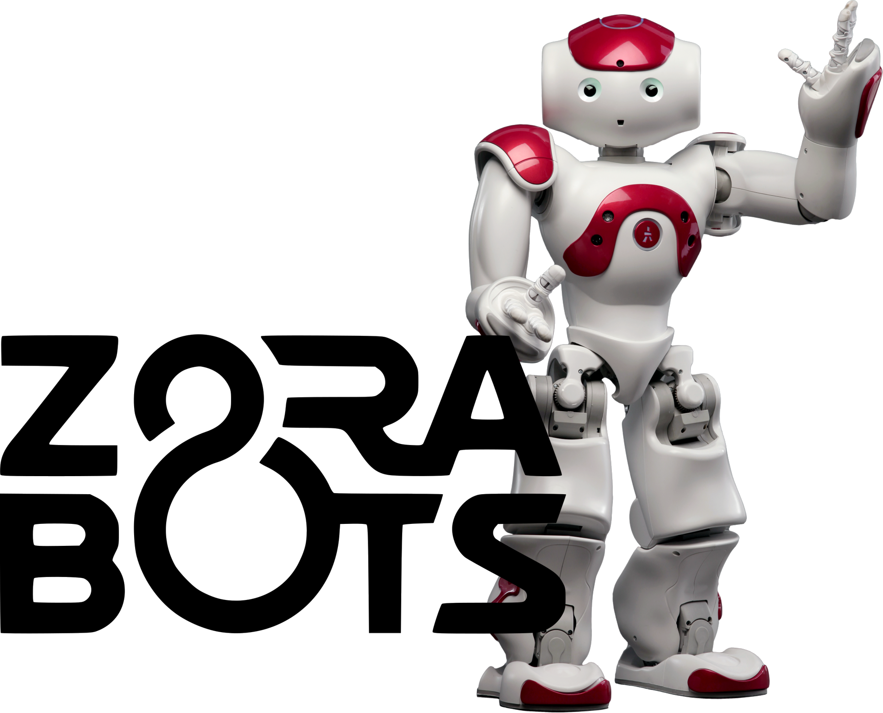 Programmable Humanoid Robot NAO V6