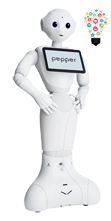 Pepper Research and Coding-icon