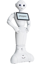 Pepper-PF-1