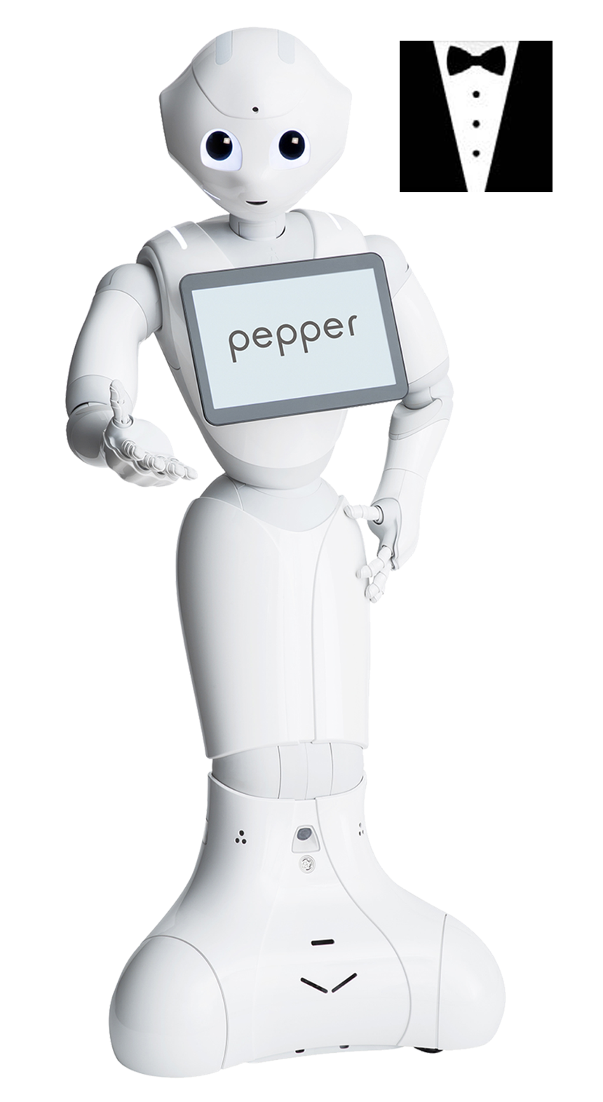 Pepper Robot Host Edition