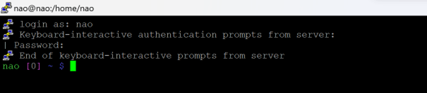 PuTTY NAO login