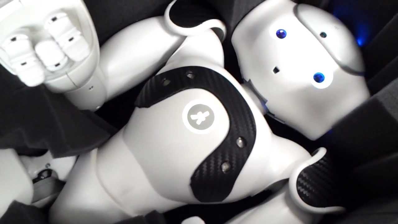 Reset Nao Robot-1.jpg